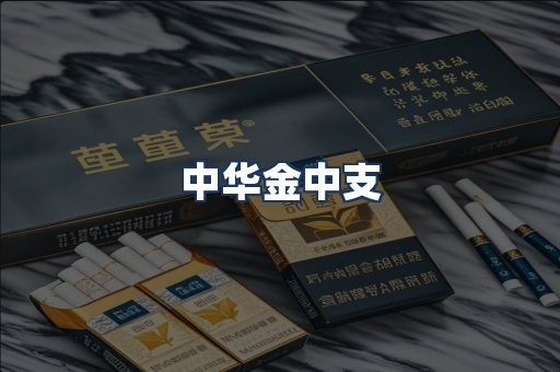 中华金中支